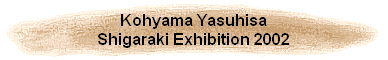 Kohyama Yasuhisa
Shigaraki Exhibition 2002