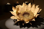 Sunflower by Sugiura Yasuyoshi